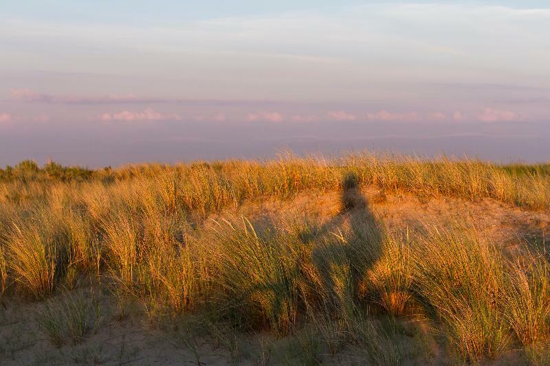 Westcord Hotel De Wadden Vlieland Bagian luar foto